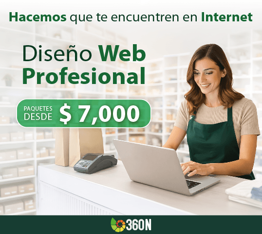 diseño de paginas web durango