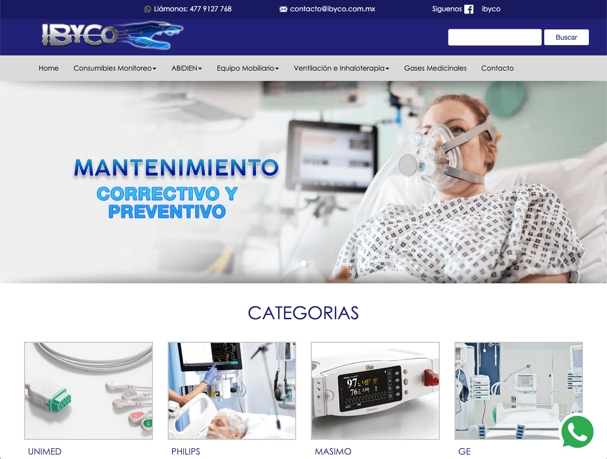 paginas web Torreon