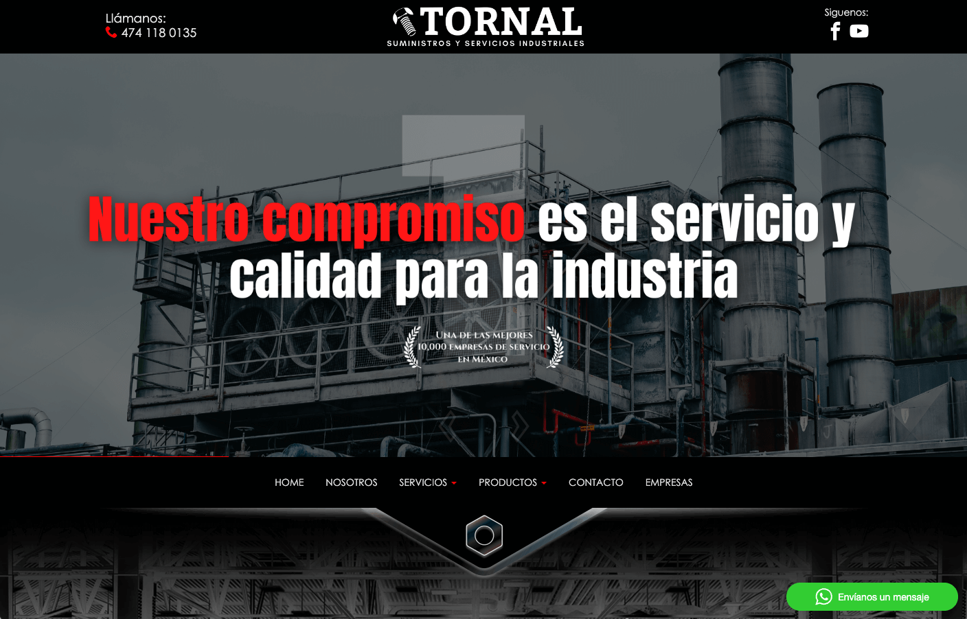 paginas web Torreon